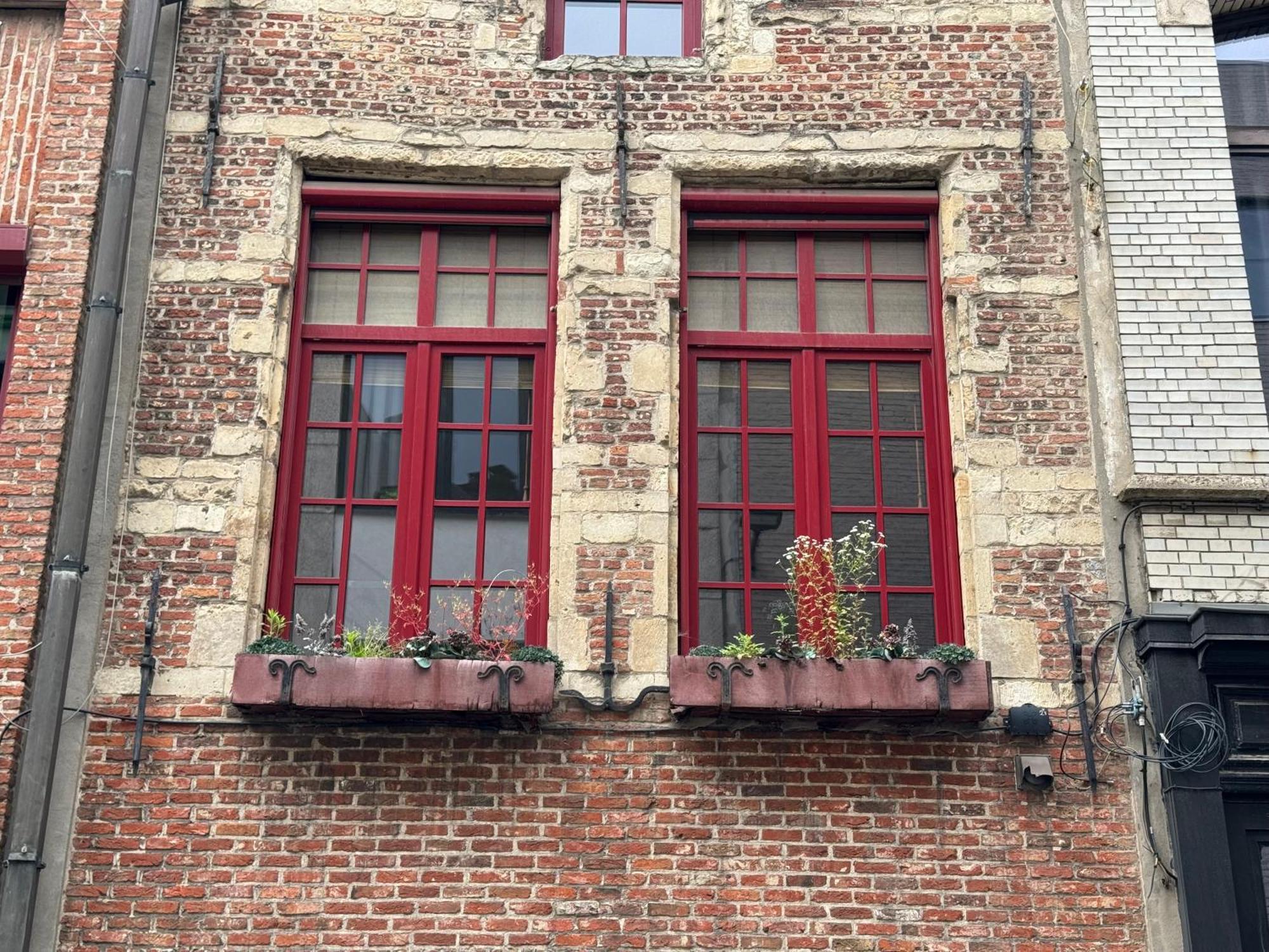 Garden Loft In City Center Meir 1Fl Antwerpen Exteriör bild